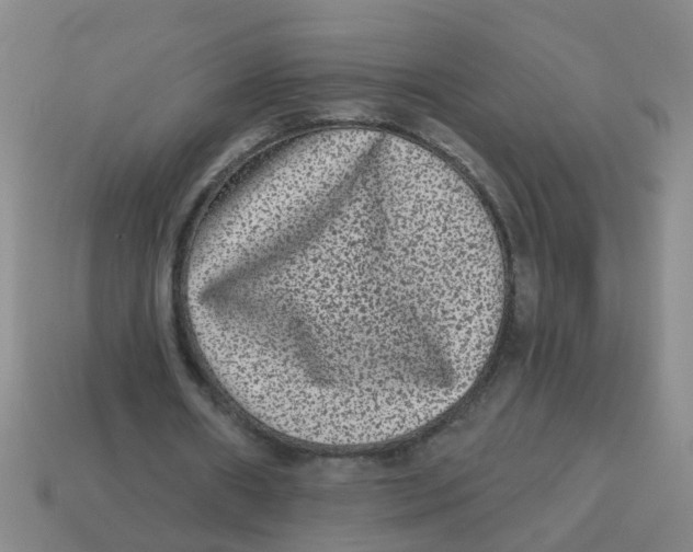 X0000113880482200910221359