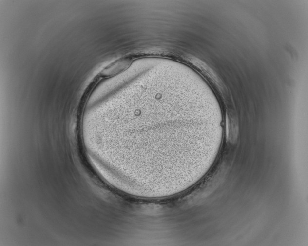 X0000113880483200910221359