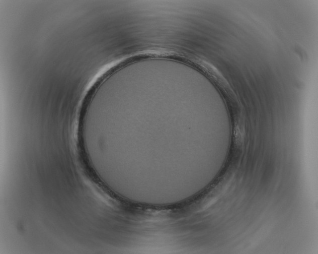 X0000113880484200910221359