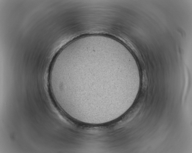 X0000113880485200910221359