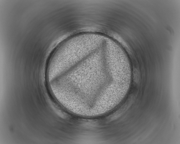 X0000113880486200910221359