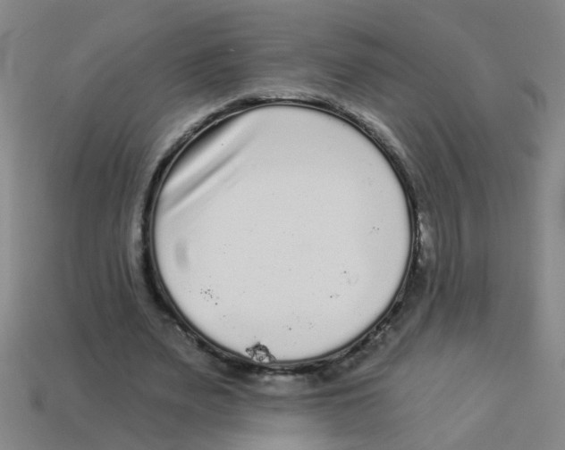 X0000113880487200910221359