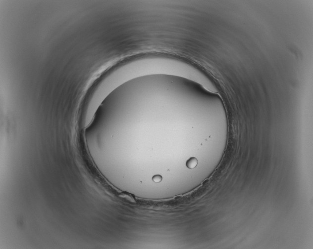 X0000113880488200910221359