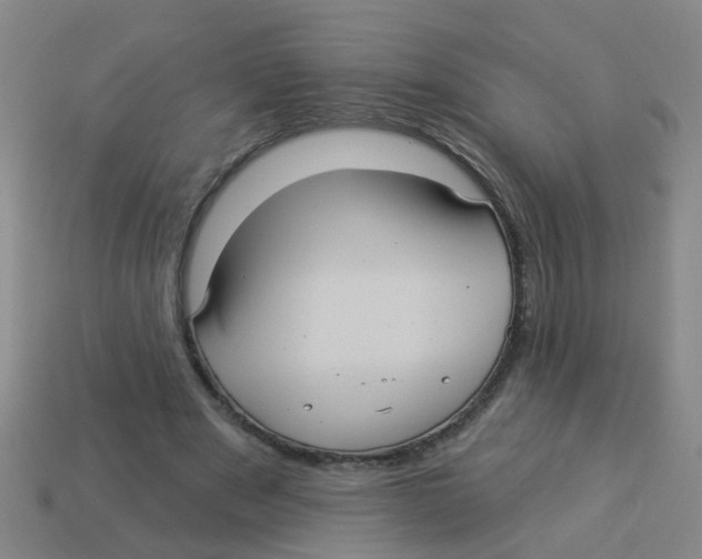 X0000113880489200910221359