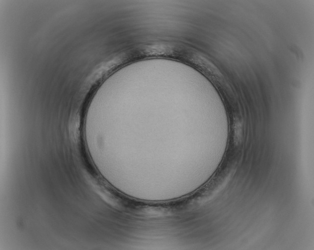 X0000113880490200910221359