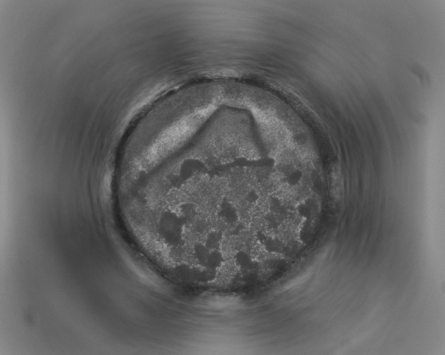 X0000113880491200910221359