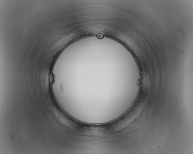 X0000113880493200910221359