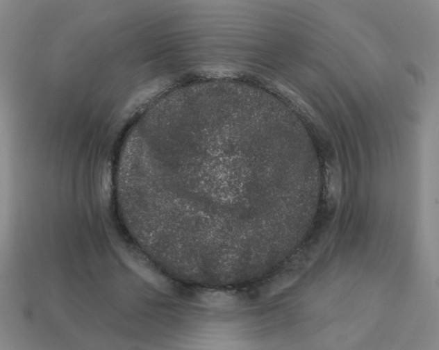 X0000113880494200910221359