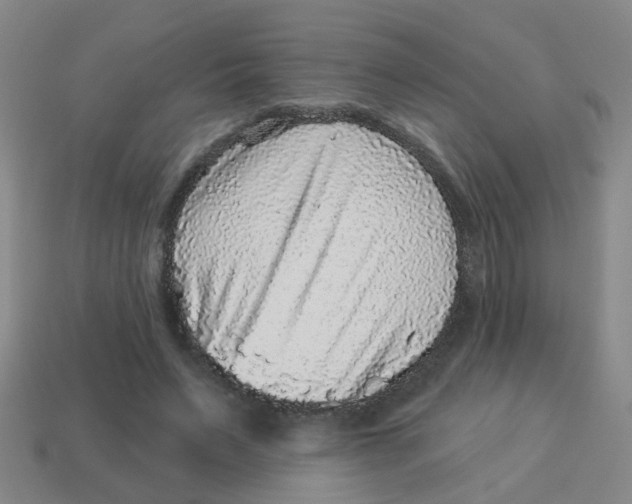 X0000113880495200910221359