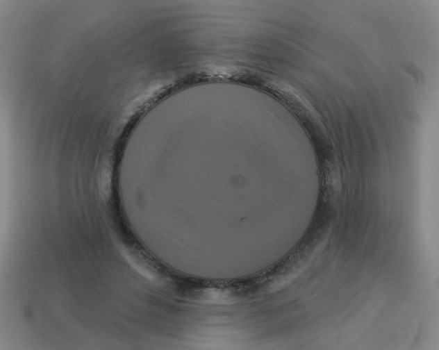 X0000113880496200910221359