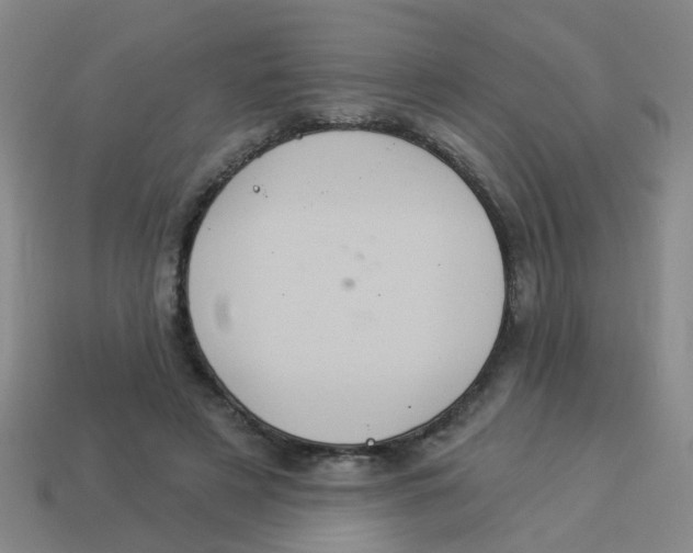 X0000113880497200910221359