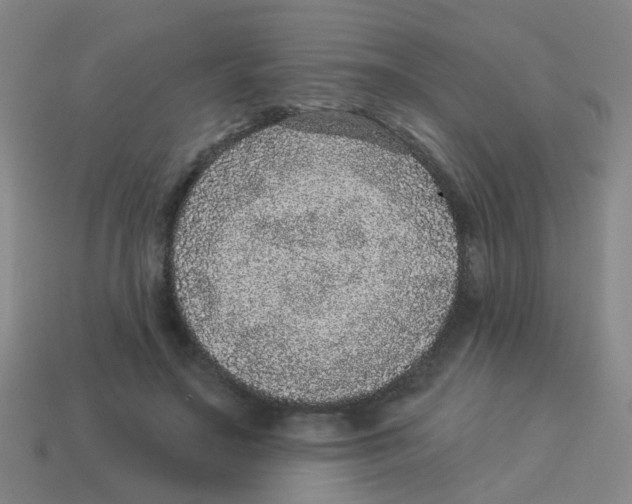 X0000113880499200910221359
