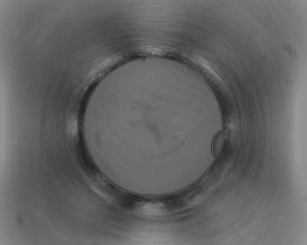 X0000113880500200910221359
