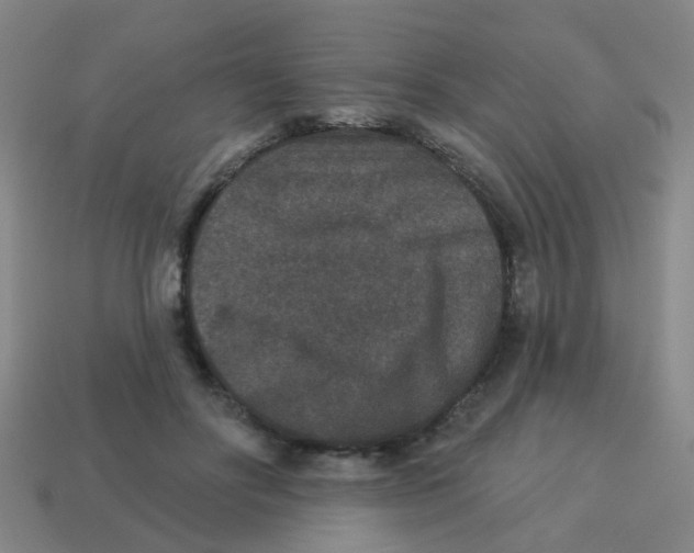 X0000113880502200910221359