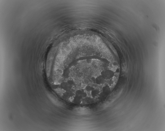 X0000113880503200910221359