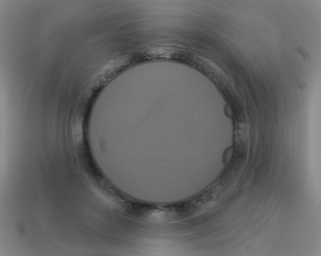 X0000113880504200910221359