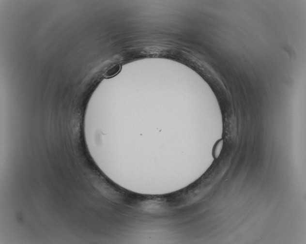 X0000113880505200910221359