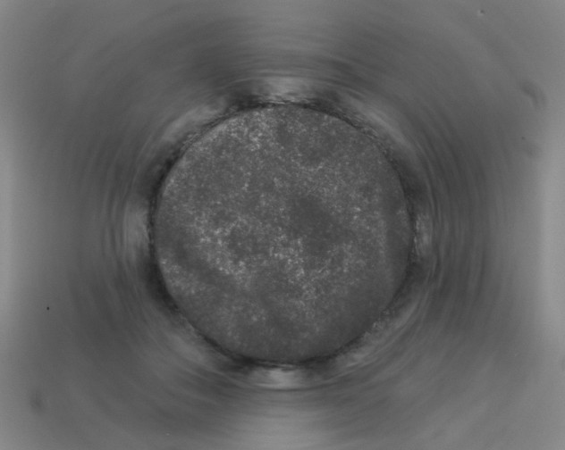 X0000113880506200910221359