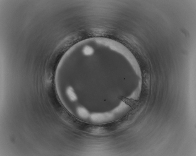 X0000113880507200910221359