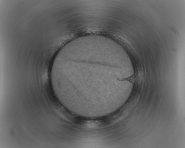 X0000113880508200910221359