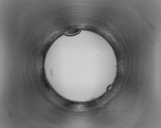 X0000113880509200910221359