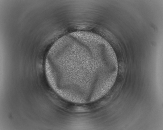 X0000113880510200910221359