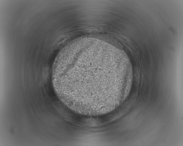 X0000113880511200910221358