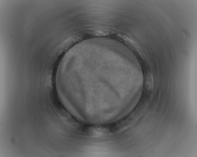 X0000113880512200910221358