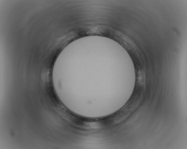 X0000113880514200910221358