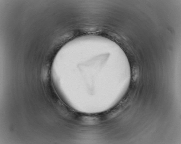 X0000113880515200910221358