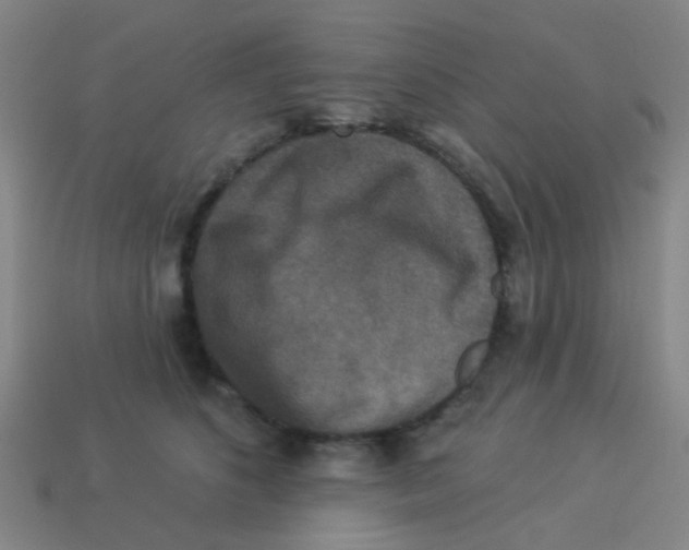 X0000113880516200910221358