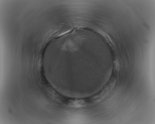 X0000113880517200910221358