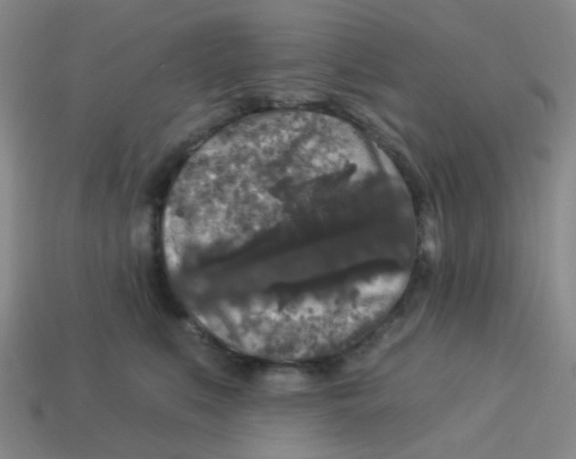 X0000113880519200910221358