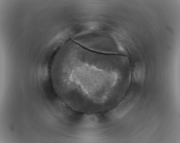 X0000113880520200910221358
