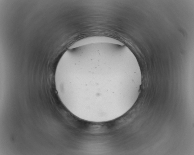 X0000113880521200910221358