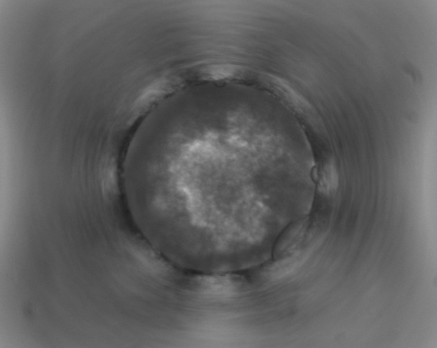 X0000113880524200910221358