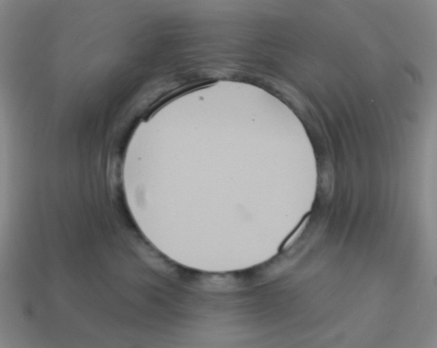 X0000113880525200910221358