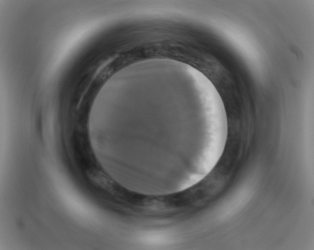 X0000113880526200910221358