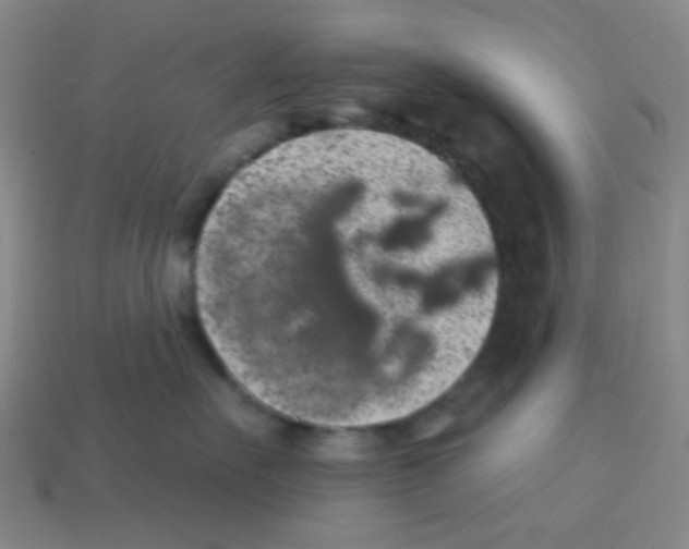 X0000113880527200910221358