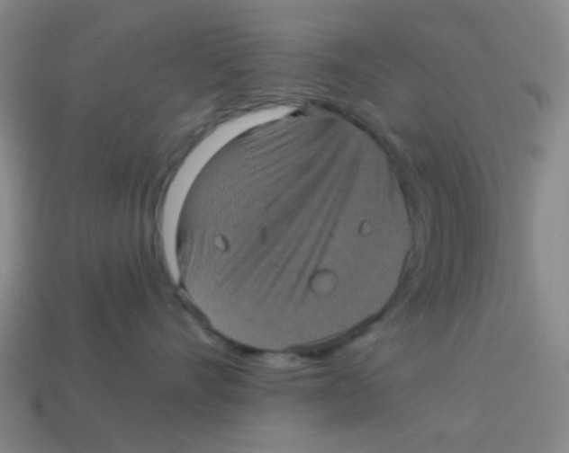 X0000113880528200910221358