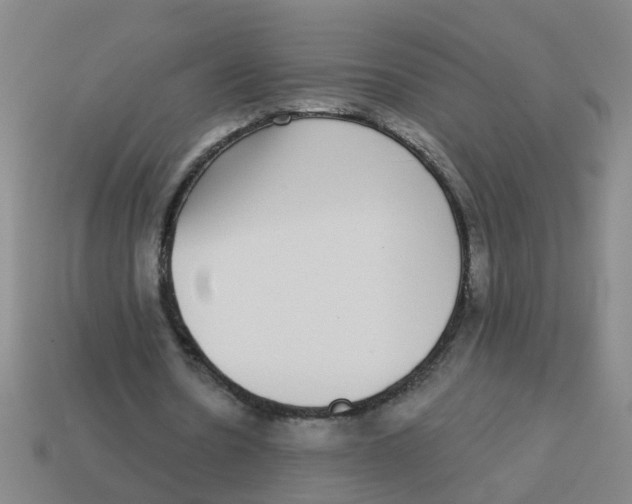 X0000113880530200910221358