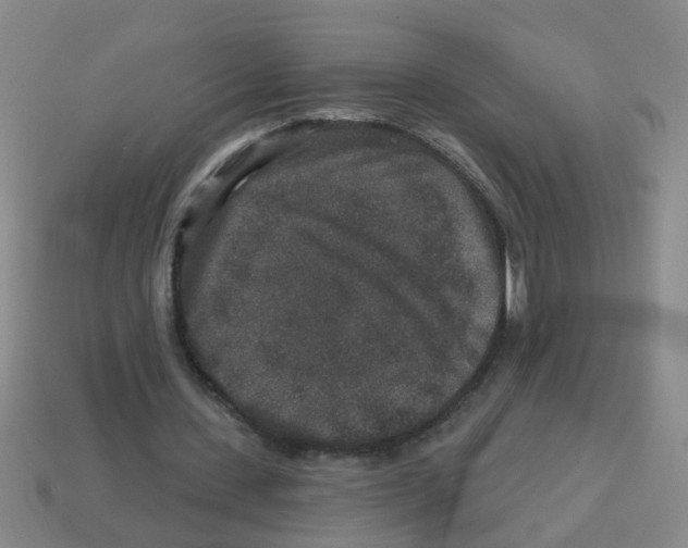 X0000113880531200910221358