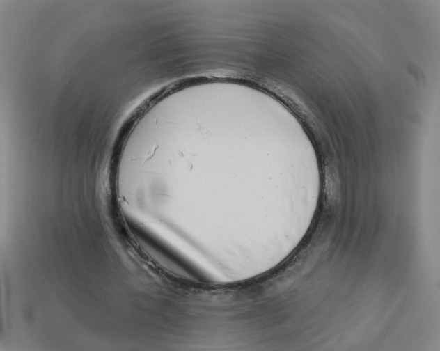 X0000113880532200910221358