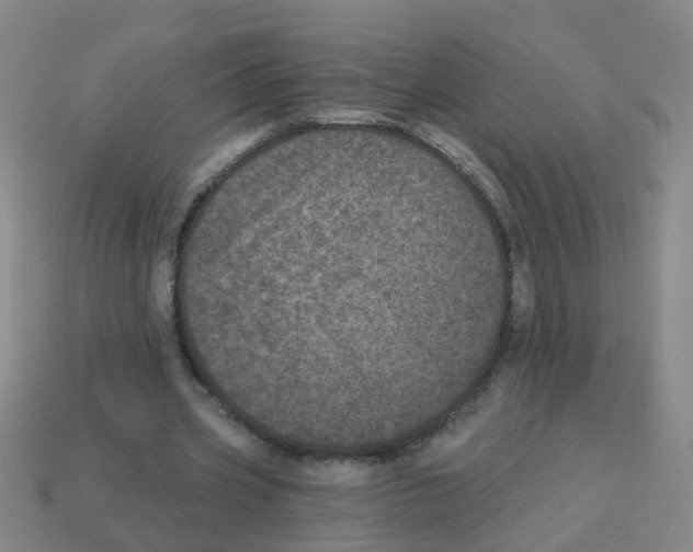 X0000113880533200910221358