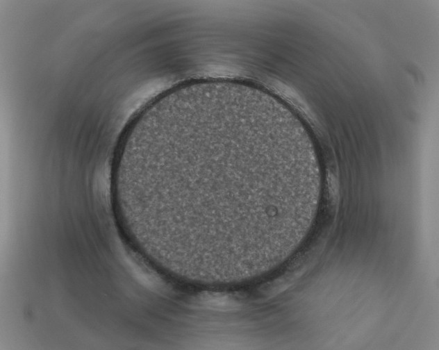 X0000113880534200910221358