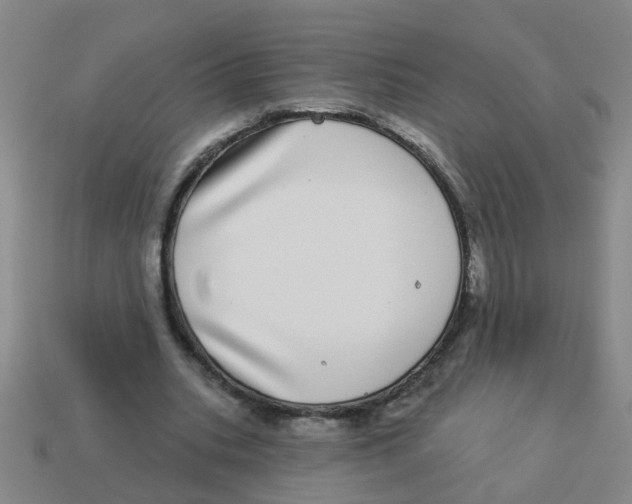 X0000113880535200910221358