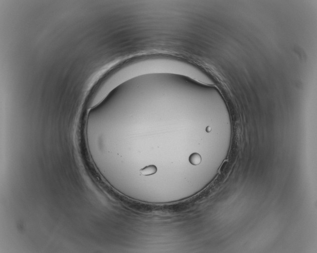X0000113880536200910221358