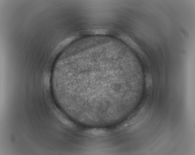 X0000113880537200910221358