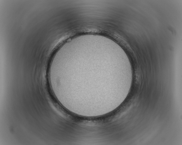 X0000113880538200910221358
