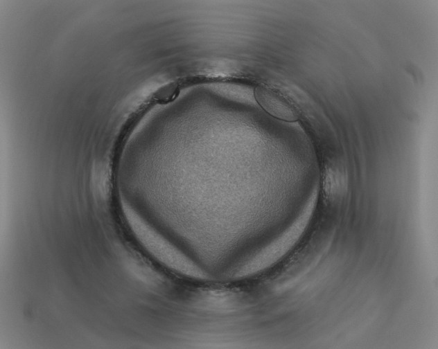 X0000113880540200910221358